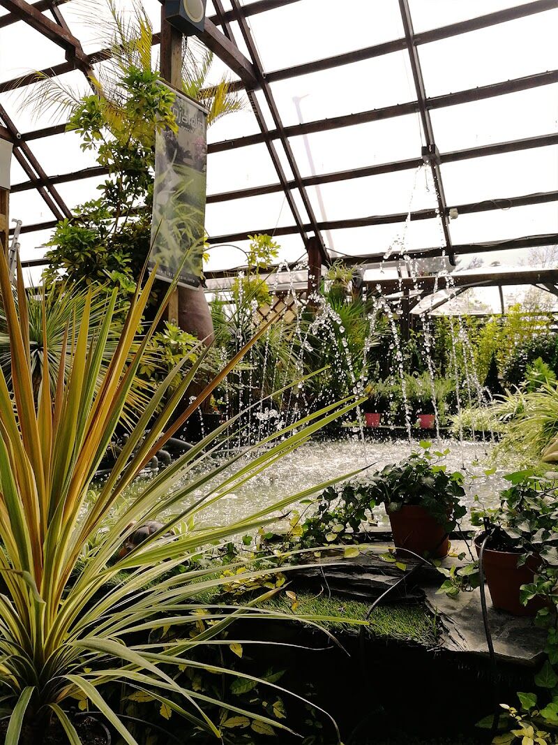 Imagen de negocio en Jardinería y exterior en Banyeres de Mariola