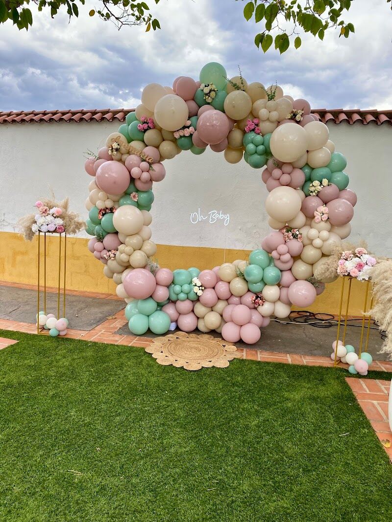 Imagen de Balloonadise