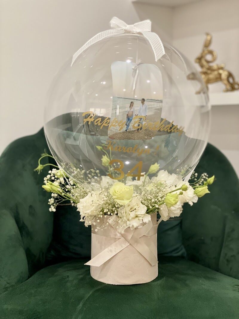 Imagen de Balloonadise