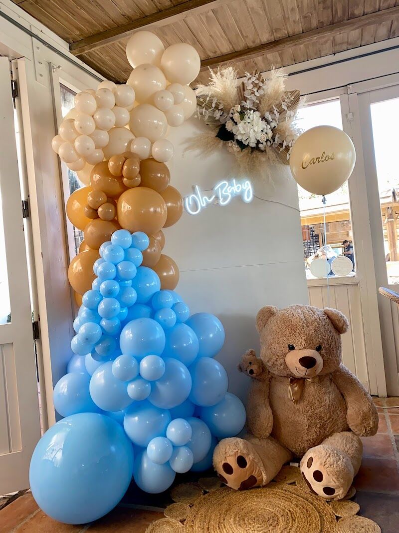 Imagen de Balloonadise