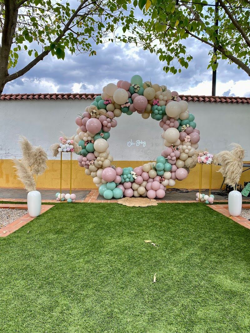 Imagen de Balloonadise