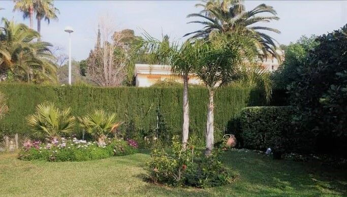 Imagen de Jardinería Ambar