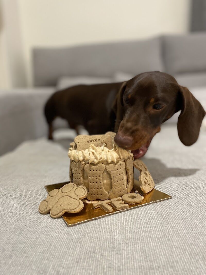 Imagen de Sweet Bite Repostería Canina y Felina