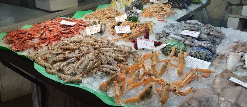 Imagen de Pescados y Mariscos Paches y Campos S.l.