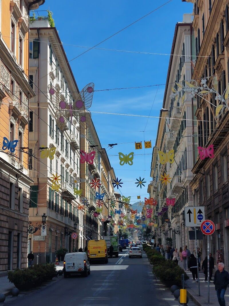 Imagen de Viajar Solo por el Mundo | Agencia de Viajes