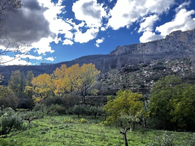 Imagen de negocio en Camping en Provincia de Castellón
