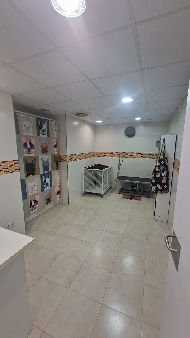 Imagen de Centro Veterinario Alcora