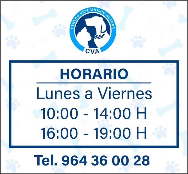 Imagen de Centro Veterinario Alcora