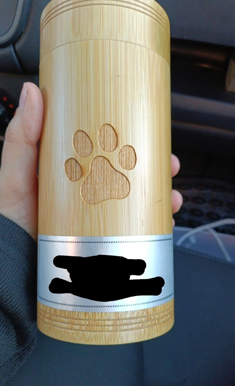 Imagen de Caelum Pets | Tanatorio y Crematorio de Mascotas en Madrid