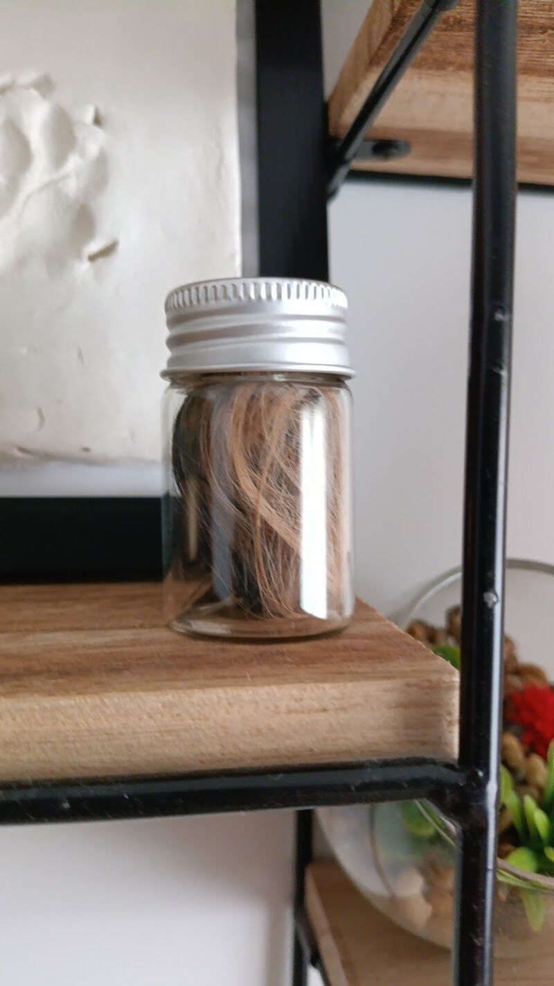 Imagen de Caelum Pets | Tanatorio y Crematorio de Mascotas en Madrid