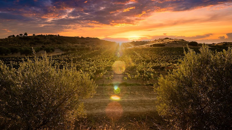Imagen de Bodega Valazul