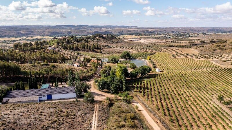 Imagen de Bodega Valazul