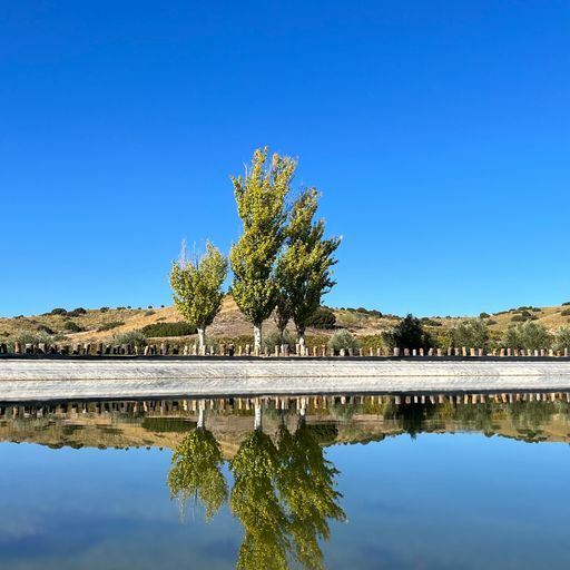 Imagen de Bodega Valazul