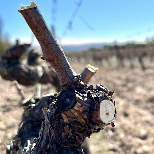 Imagen de Bodega Valazul