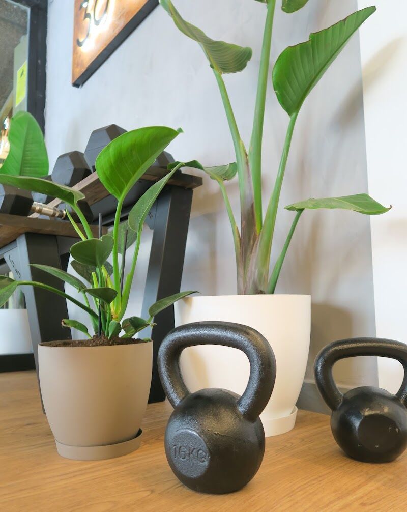 Imagen de Fitness 360 – Entrenamiento Personal