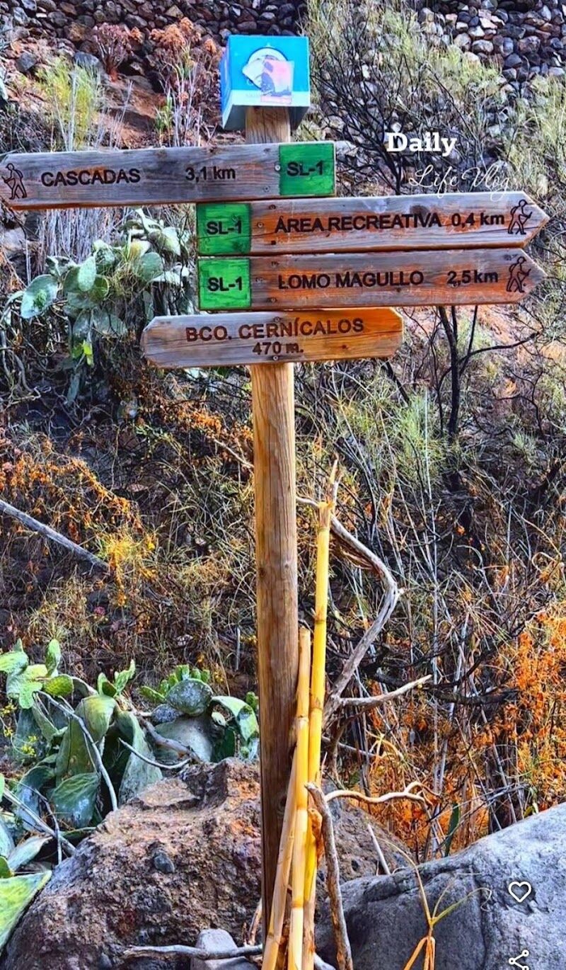 Imagen de Sanación_ Energética_hipnosis Alineateconalina