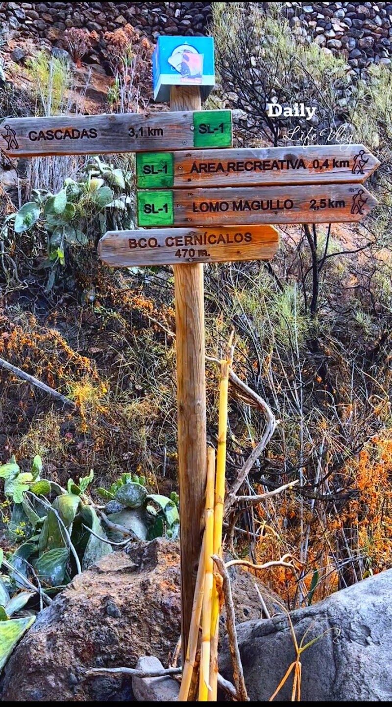 Imagen de Sanación_ Energética_hipnosis Alineateconalina