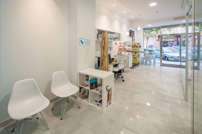 Imagen de negocio en Veterinaria en Provincia de Castellón