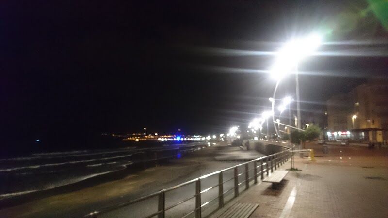 Imagen de Bosmediano