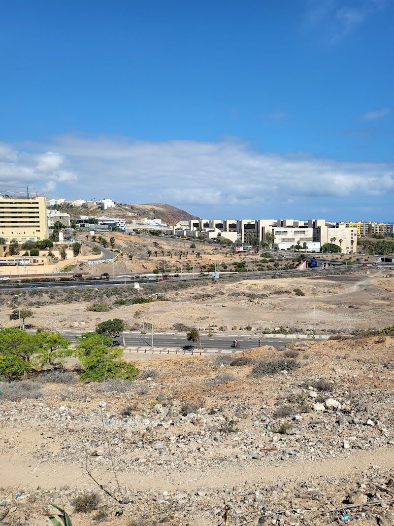 Imagen de Hospital Doctor Negrín, Consultas Externas