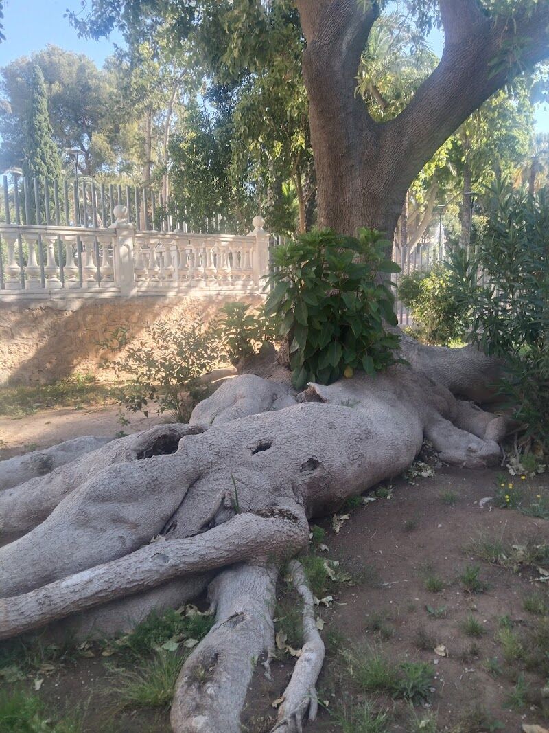 Imagen representativa de la localización