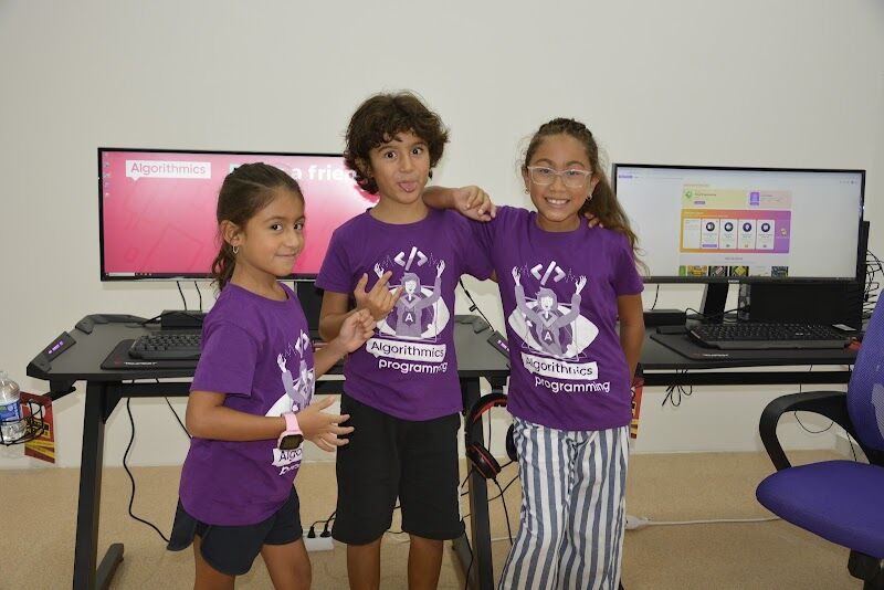 Imagen de Algorithmics Medio Vinalopó Novelda Academia Informática Matemáticas