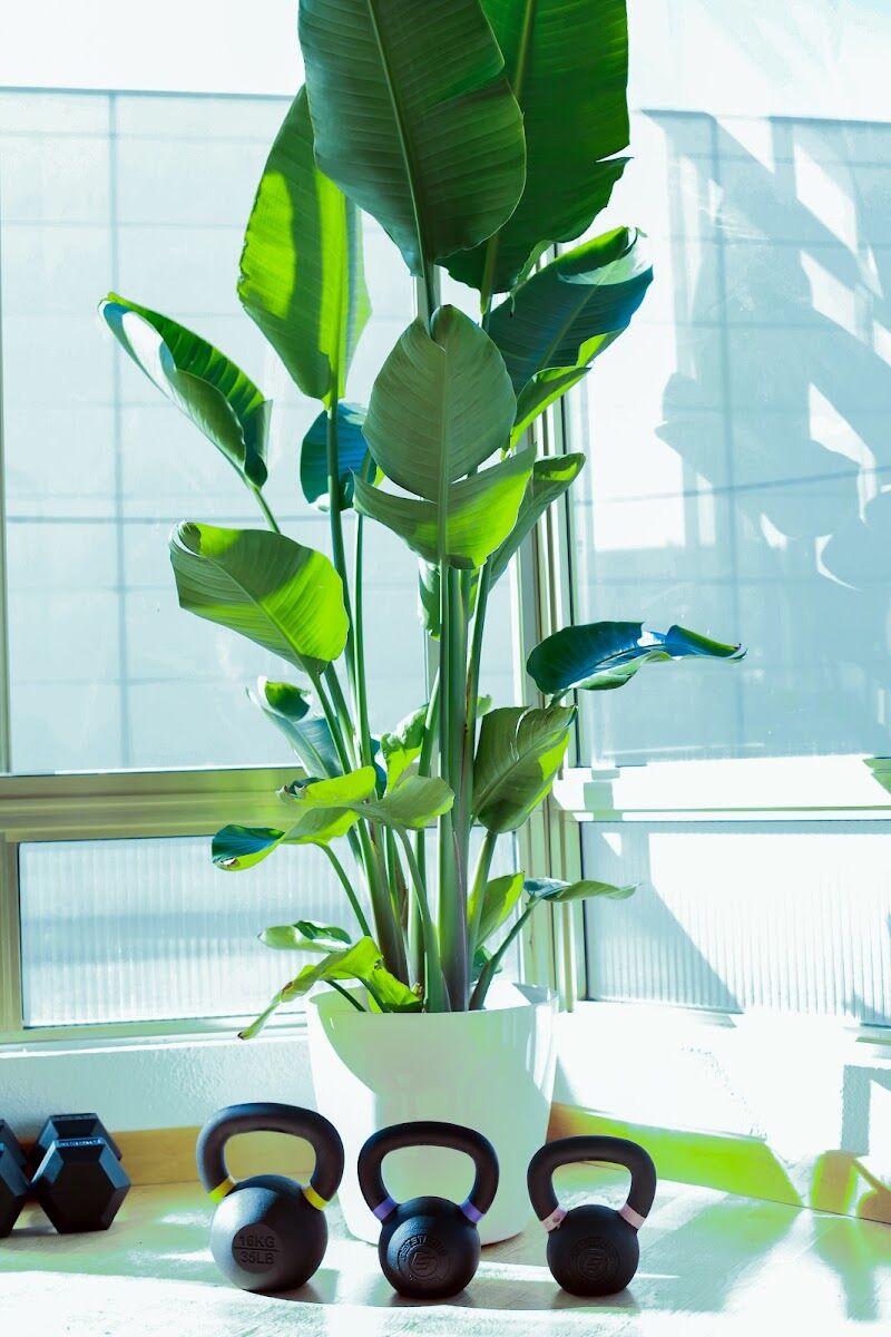 Imagen de Meraki Wellness & Training