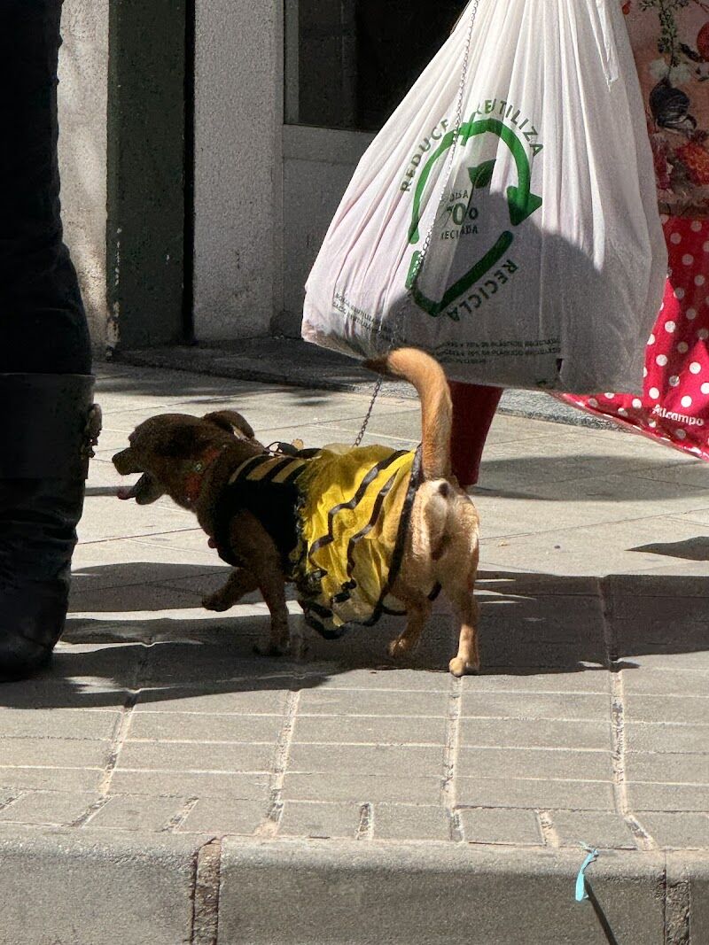 Imagen de Cuartelillo Tarantelas