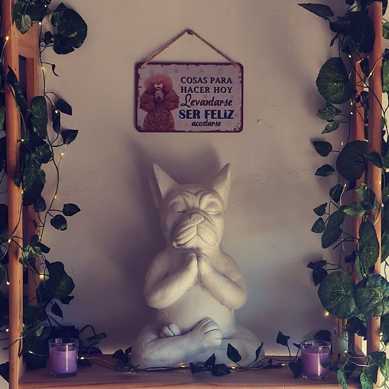 Imagen de negocio en Peluquería canina y felina en Valverde