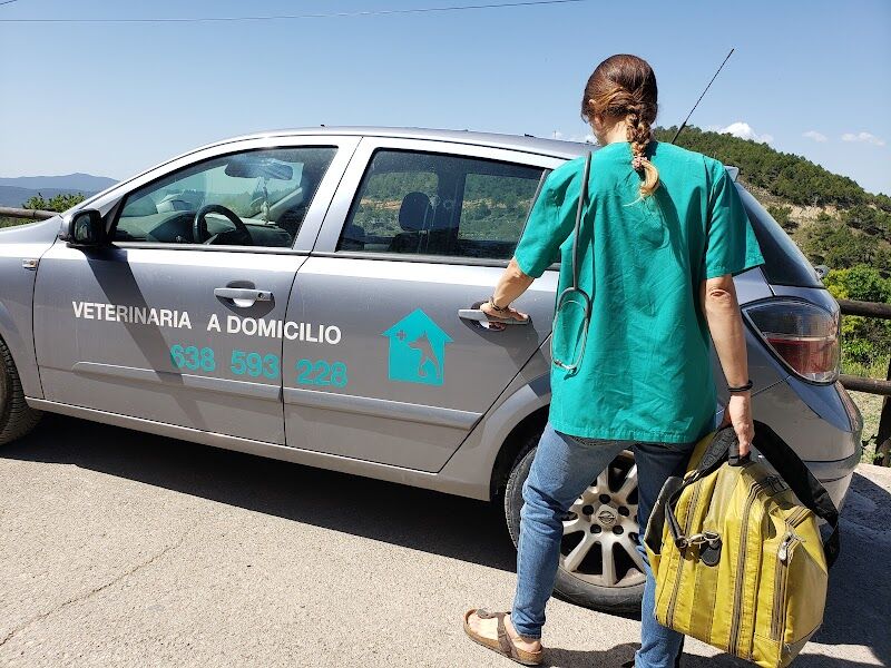 Imagen de Veterinario a Domicilio. Laura García Cortés.