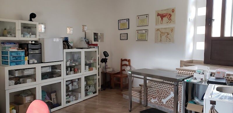 Imagen de Veterinario a Domicilio. Laura García Cortés.