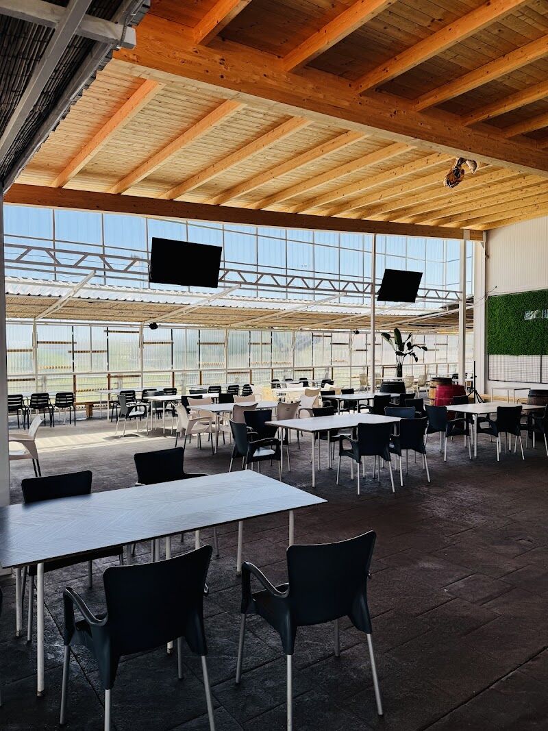 Imagen de negocio en Gastrobar en Provincia de Castellón