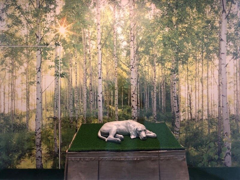 Imagen de Crematorio Tanatorio de Mascotas Tanapets