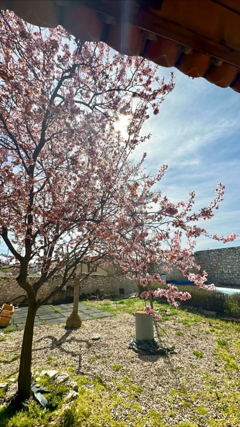 Imagen representativa de la localización