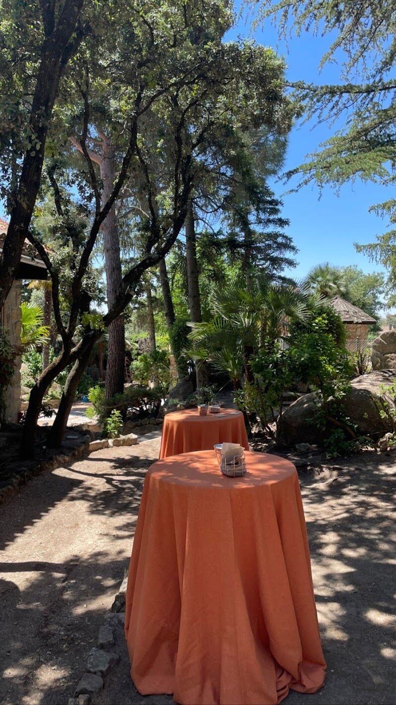 Imagen de Wedding Eventeros