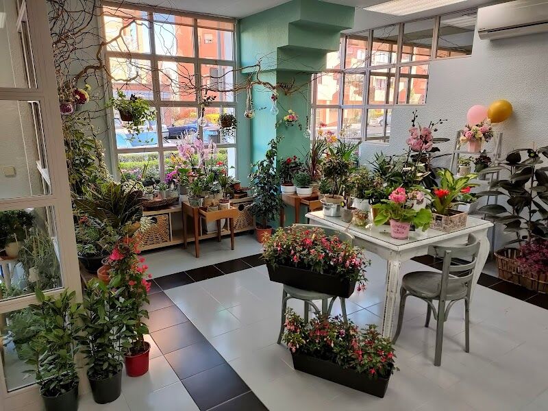 Imagen de El Jardín de las Hadas