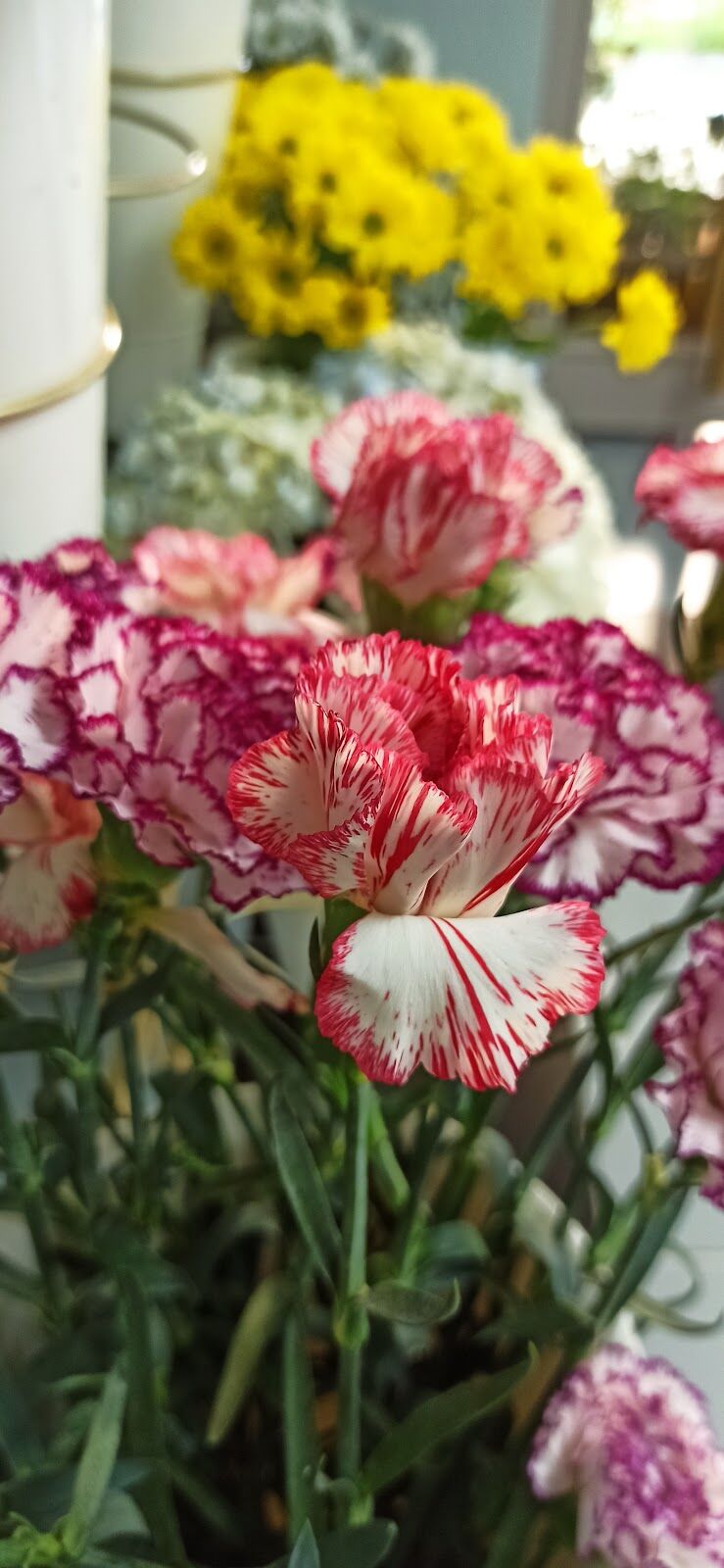 Imagen de El Jardín de las Hadas