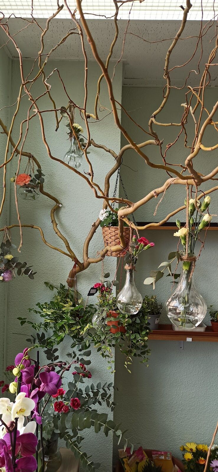 Imagen de El Jardín de las Hadas