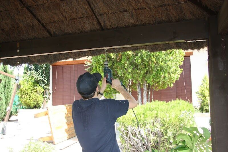 Imagen de Higienisa Control de Plagas | Valencia