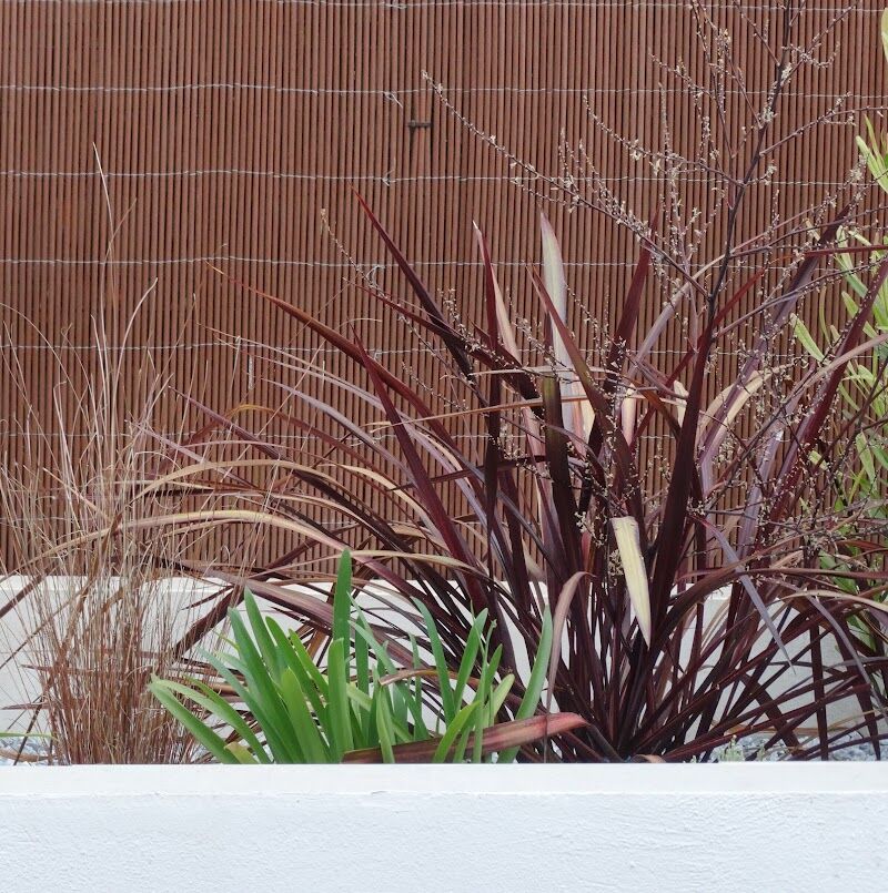 Imagen de Hortus Paisajistas