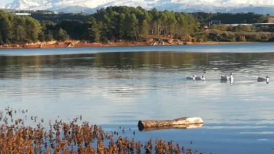 Imagen de Fernando L. Jover – Abogado de Familia. Abogado Rotal. Mediador Familiar