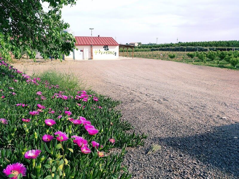 Imagen de Mas Huellas