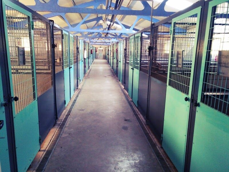 Imagen de Mas Huellas