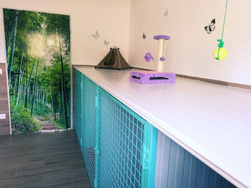 Imagen de Mas Huellas