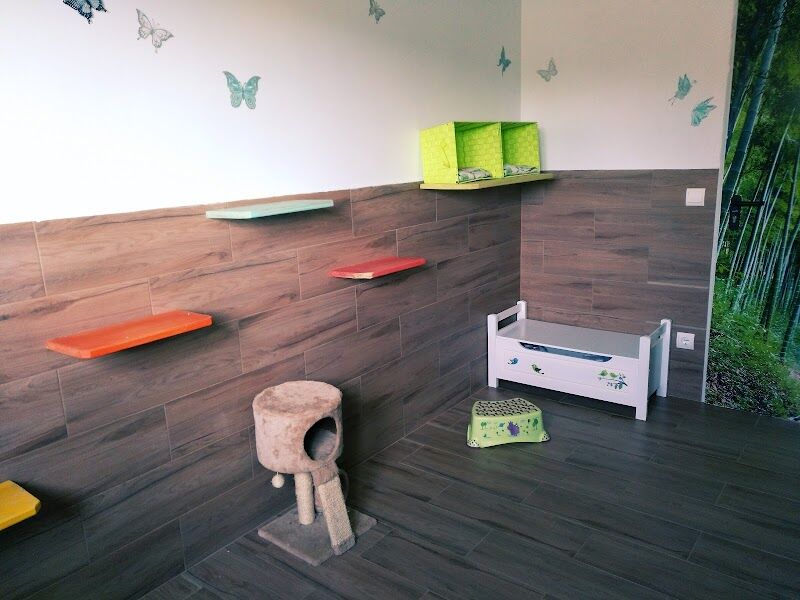 Imagen de Mas Huellas