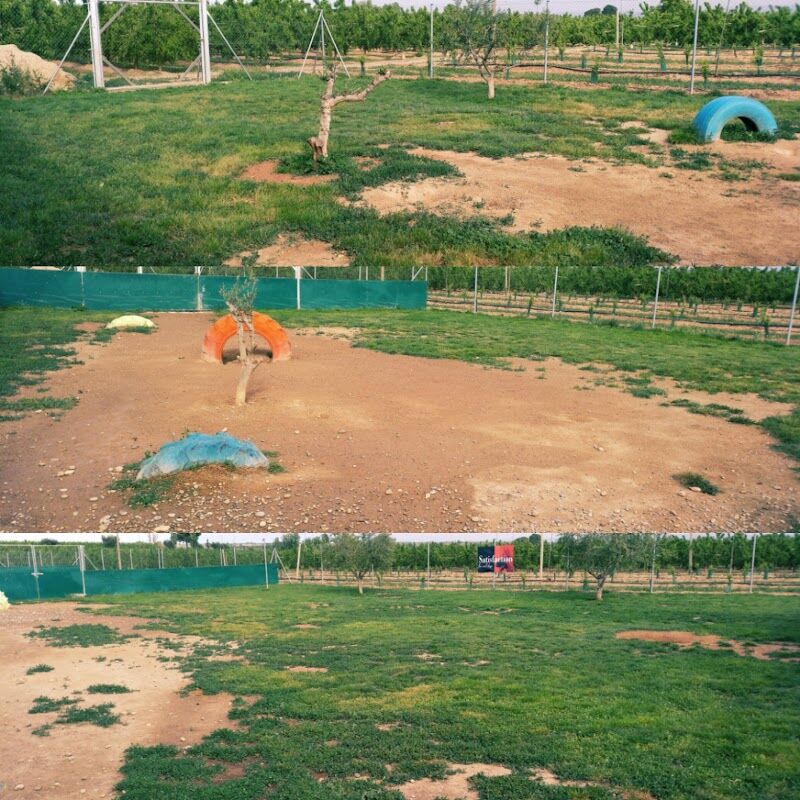 Imagen de Mas Huellas