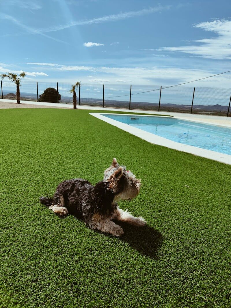 Imagen de Casa Rural Mas Jove