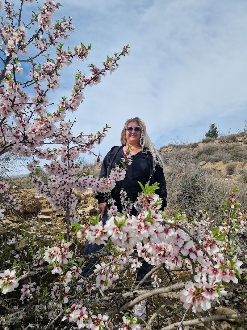 Imagen de Trm Trainer – Carlos Turmo