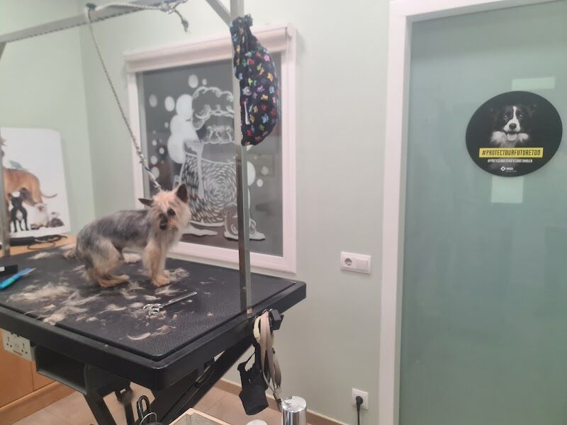 Imagen de Clínica Veterinaria Fraga
