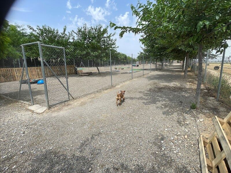 Imagen de negocio en Guardería para mascotas en Provincia de Huesca